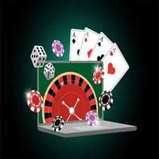 bingoplud