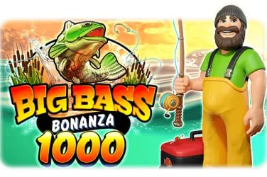 bingoplud
