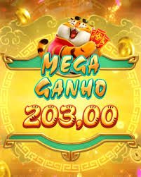 bingoplud